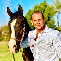 Ahmed El Daly