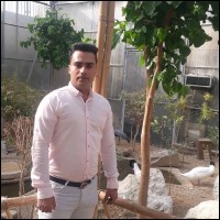 Omid Mohammadpour