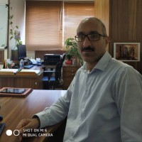 Mohammad Panahi