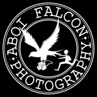 Aboi Falcon