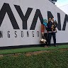 Dika Waluyo