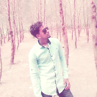 shojib mhamud