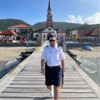 Flavius Nedelcu