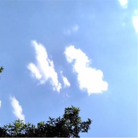 林超枨