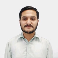 Hassan Raza
