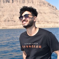 Karim Adel