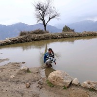 Najeeb Ullah Totash