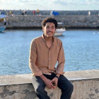 Mohammed El_Sayed