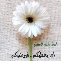 محسن امين