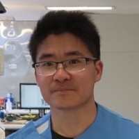 Tao Wang