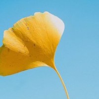 陶剑南