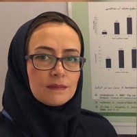 naiemeh Molaei
