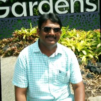Ravi Shanker