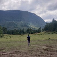 Fernando Teke Veloso