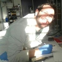 Loris Napolitano