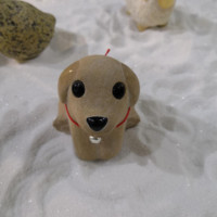 郝玉婷