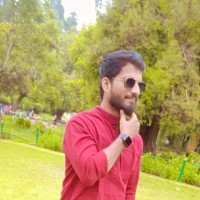 Hari Krishnan