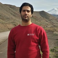 Naser D