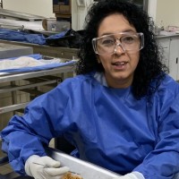 Lorena Valencia, Ph. D.