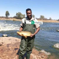 Fulufhedzani Netshiungani