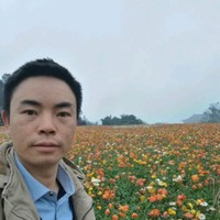 黄燕平