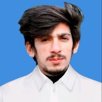 Hamza Malik