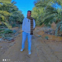 Tarek ahmed elkholy