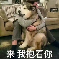占佳乐