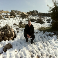 Ali Chebbani