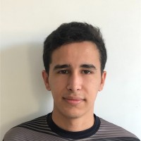 Vinicius Pratis Silva
