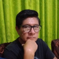 Julio Cesar Palacios Vargas