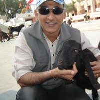 V Singh