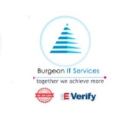 Vinay Burgeon