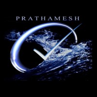Prathamesh Consultants