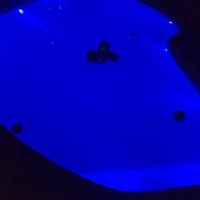 Shakil kasmani Kasmani