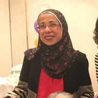 Mona Shafik