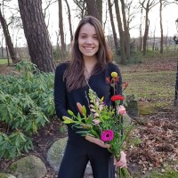 Merle Elferink
