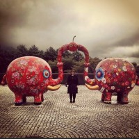 Andrea Jolley