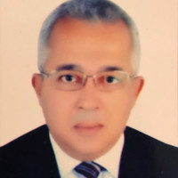 Wael Nasr