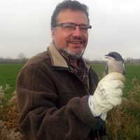 Tomas Santamaría Polo