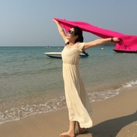 石海燕