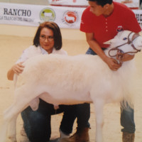 MVZ Ana Lourdes Merino Villanueva