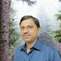 Rajesh Bairagi