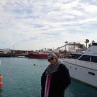 Samar Shawky