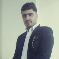 morteza Palatinus