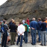 Tno Basin Analysis Team