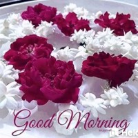Ashwini Mandi