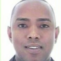 BRUNO ARAUJO DA SILVA