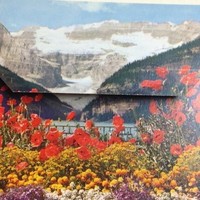 Robert Bateman