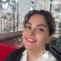 Parisa Dadashi